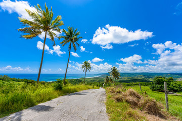 Fototapete Karibik Blick vom Cherry Tree Hill auf die tropische Küste der Karibikinsel Barbados  © Simon Dannhauer