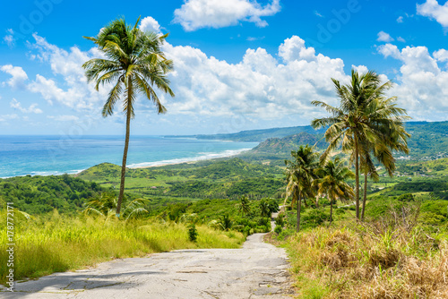 Fototapeta Naklejka Na Ścianę i Meble -  View from Cherry Tree Hill to tropical coast of  caribbean island Barbados