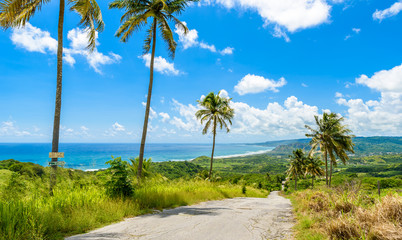 Fototapete Karibik View from Cherry Tree Hill to tropical coast of  caribbean island Barbados  © Simon Dannhauer