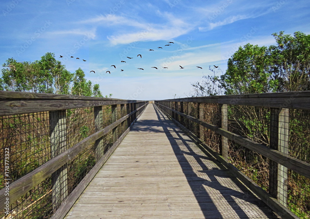 Sightseeing walk near Gainesville Florida