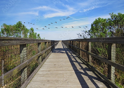 Sightseeing walk near Gainesville Florida