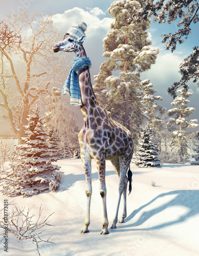 giraffe in the winter forest