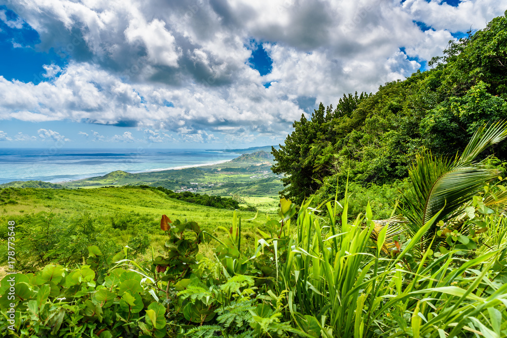 Fototapeta Widok od Czereśniowego drzewa wzgórza tropikalny wybrzeże karaibska wyspa Barbados