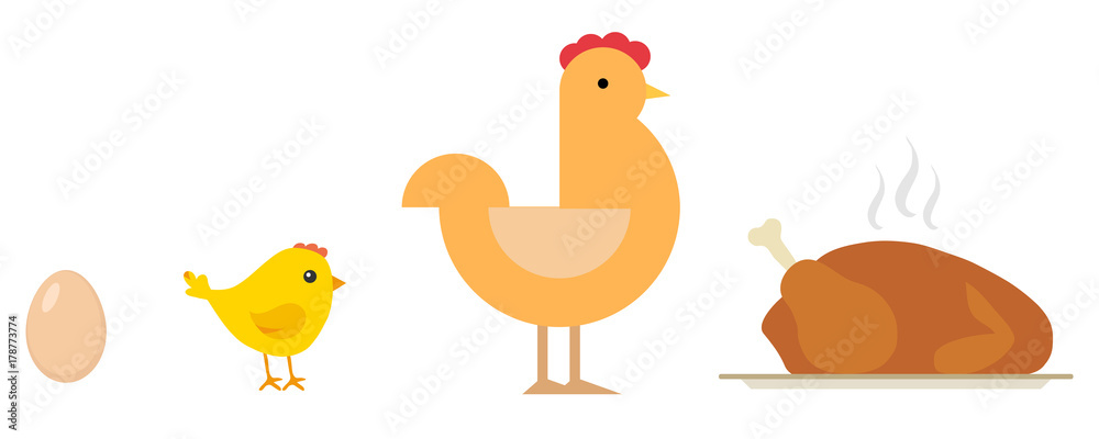 Egg, chick, chicken, baked chicken on tray. Life cycle of the chicken. Egg, chick, chicken, baked chicken on tray. Life cycle of the chicken.