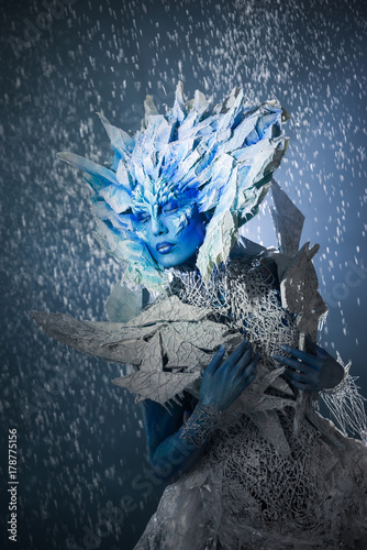 Canvas-taulu Beautiful Snow Queen