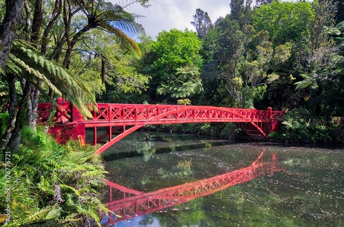 Fototapeta Naklejka Na Ścianę i Meble -  Poet's bridge in New Plymouth