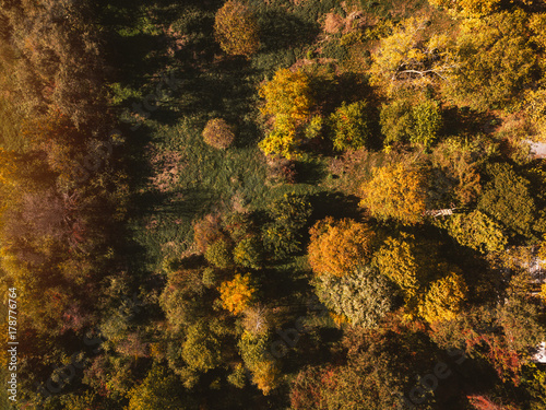 Aerial view of autumn park trees