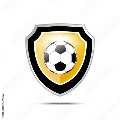 shield football or soccer vector