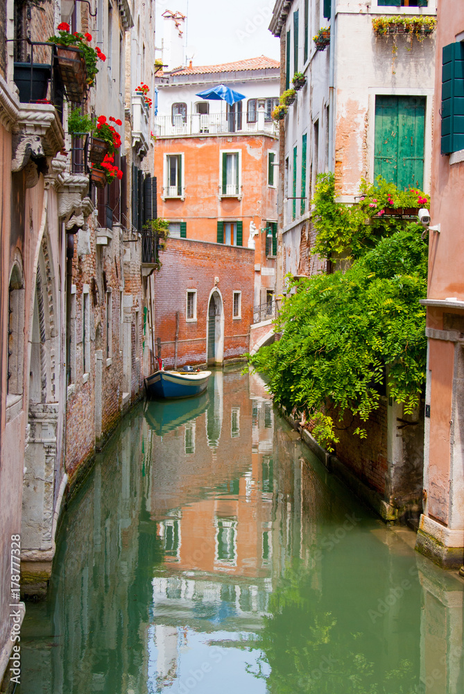 Green water streets in Venice