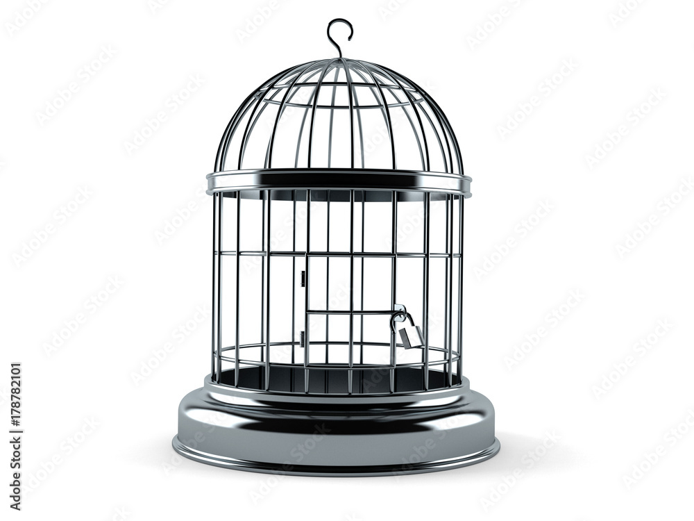 Empty birdcage