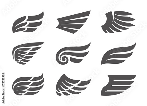 Set of Vector Wings photo