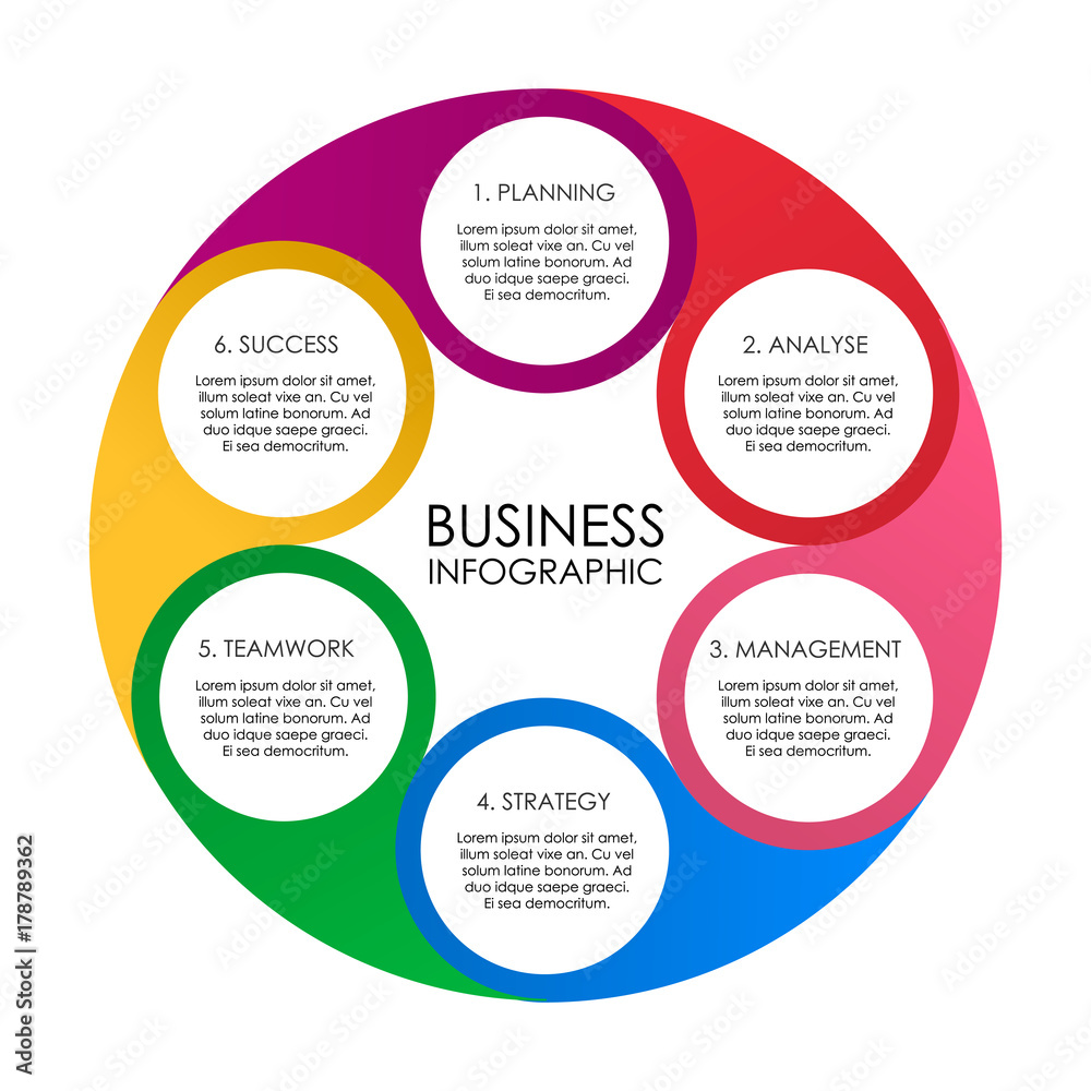circle infogrphic diagram for business.