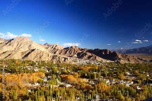 Canvas Print Landscape screen of Ladakh Region, Jammu and Kashmir State, India