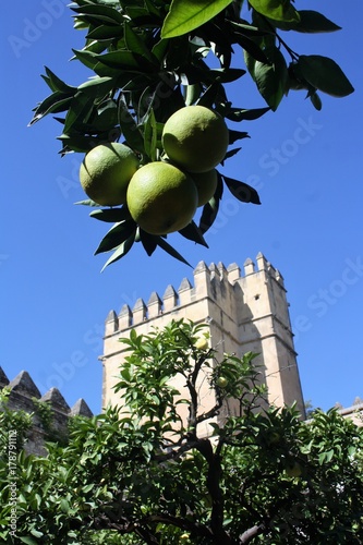 andalousie