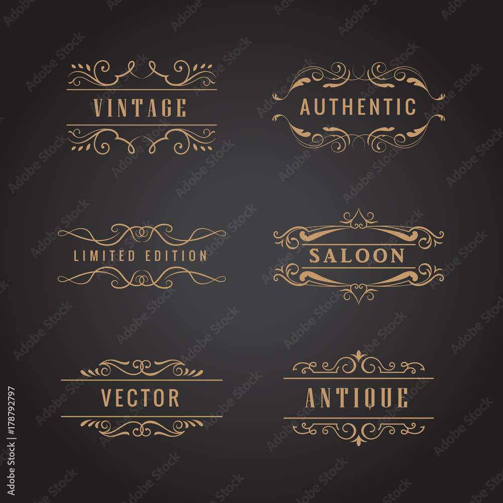 set retro ornaments label luxury vintage logo vector