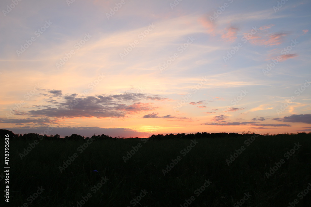 Fototapeta premium Sonnenuntergang am Rapsfeld