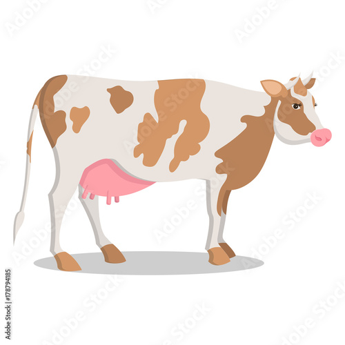 Cute Cow Grown on Farm Isolated Cartoon Illustration