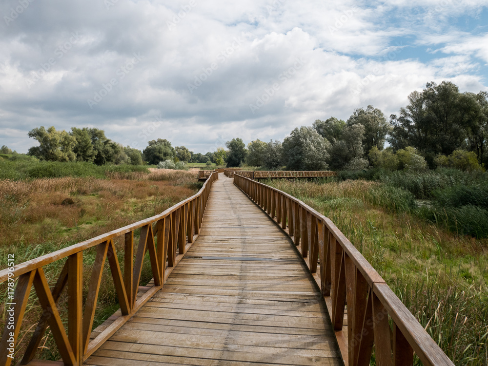 Wooden walk bridge in nature park Kopacki rit