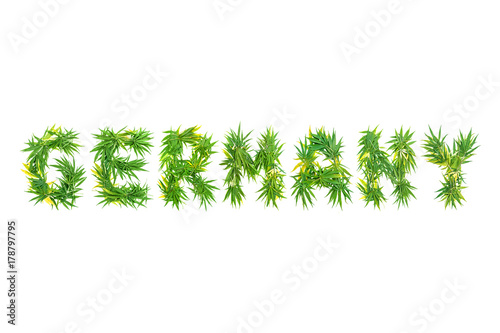 Word Germany made from green cannabis leaves on a white background. Isolated