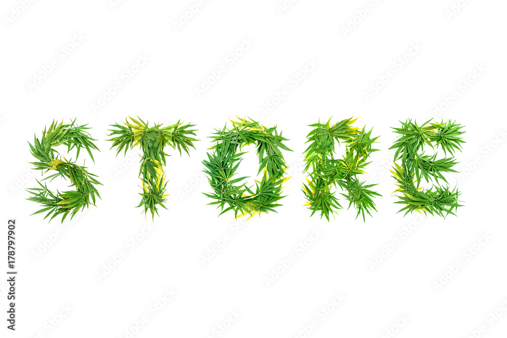 Word STORE made from green cannabis leaves on a white background. Isolated Word STORE made from green cannabis leaves on a white background. Isolated