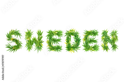 Word SWEDEN made from green cannabis leaves on a white background. Isolated