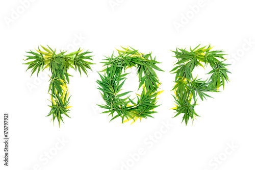 Word TOP made from green cannabis leaves on a white background. Isolated