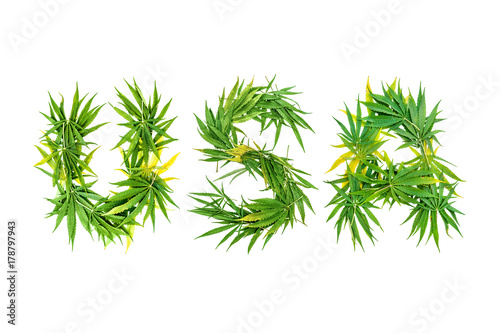 Word USA made from green cannabis leaves on a white background. Isolated