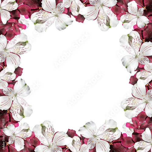 Fototapeta Naklejka Na Ścianę i Meble -  Beautiful floral background of Pelargonium and alstroemeria 