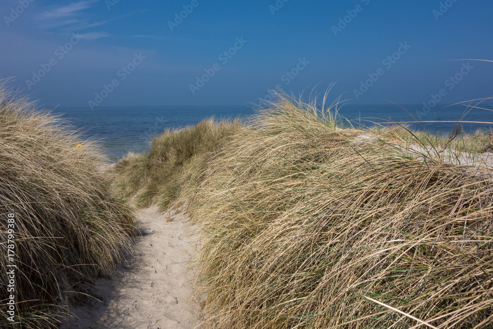 Naklejka premium Zugang zum Strand