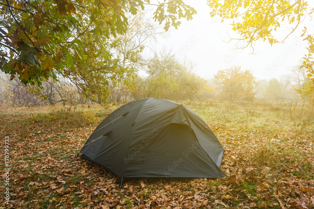 touristic tent in a dry wet autumn forest