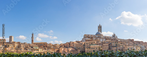 Panorama: Blick über Siena