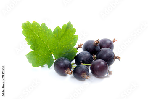 Black currant berry isolated on white. A bunch of black currant..
