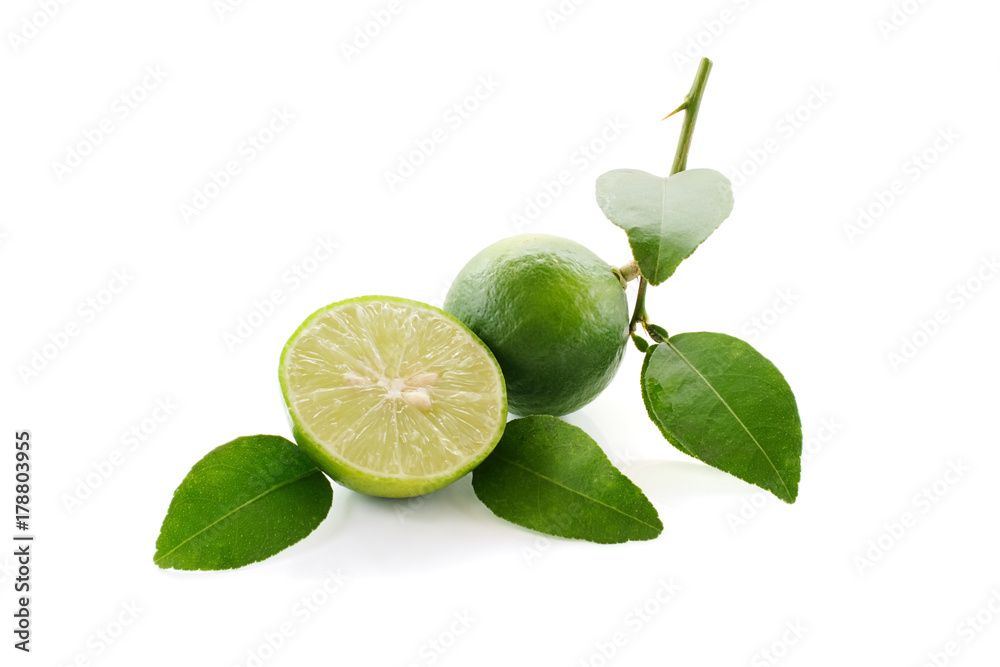 lime close up isolated on white background