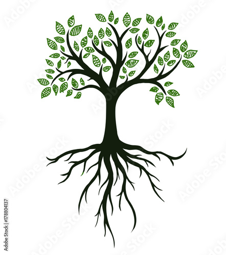 Tree symbol with roots, real hand drawing. Vector Illustration