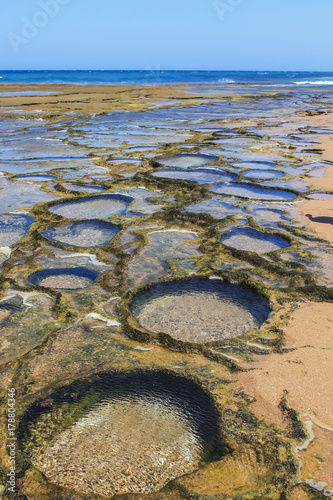 Natural swimming pool