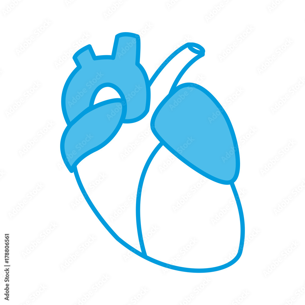 Human heart symbol icon vector illustration graphic design Human heart symbol icon vector illustration graphic design