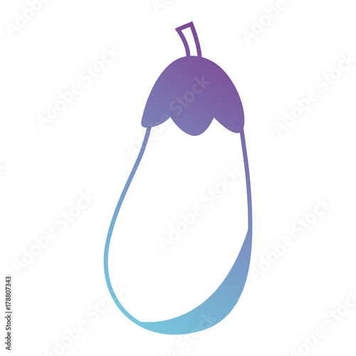 silhouette eggplant organic vegetable food taste