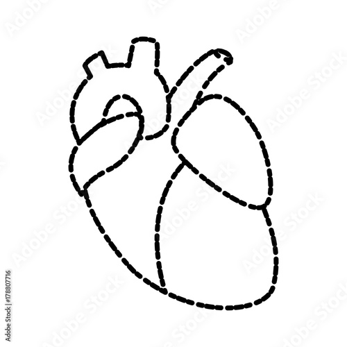Human heart symbol icon vector illustration graphic design