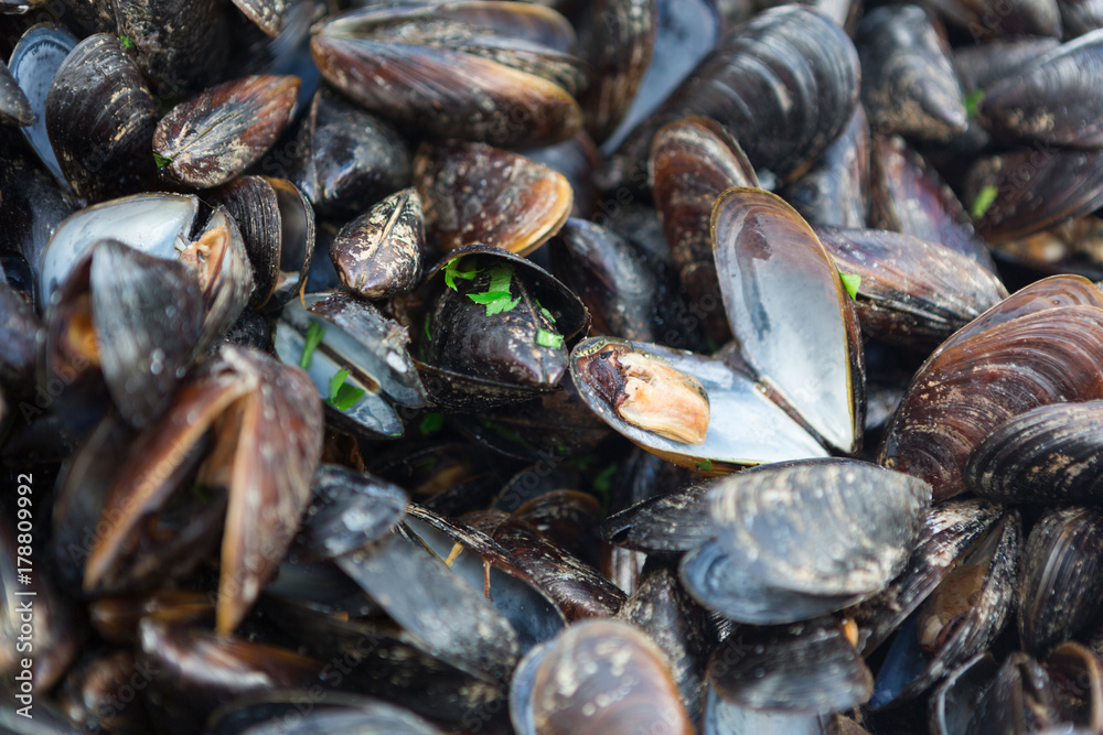 Fresh mussels on grill with greens Fresh mussels on grill with greens