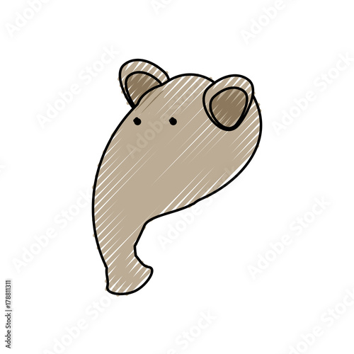 flat line colored tapir face doodle over white background vector illustration