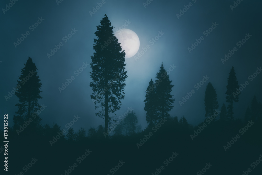 full moon on dark spooky forest at night
