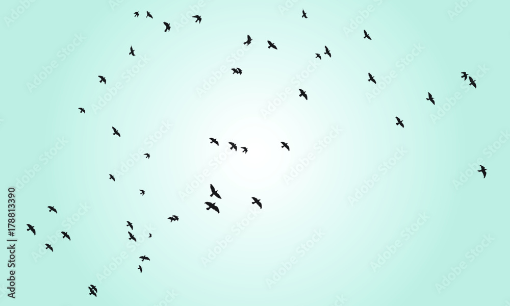 Birds silhouette with blue sky background. Birds silhouette with blue sky background.