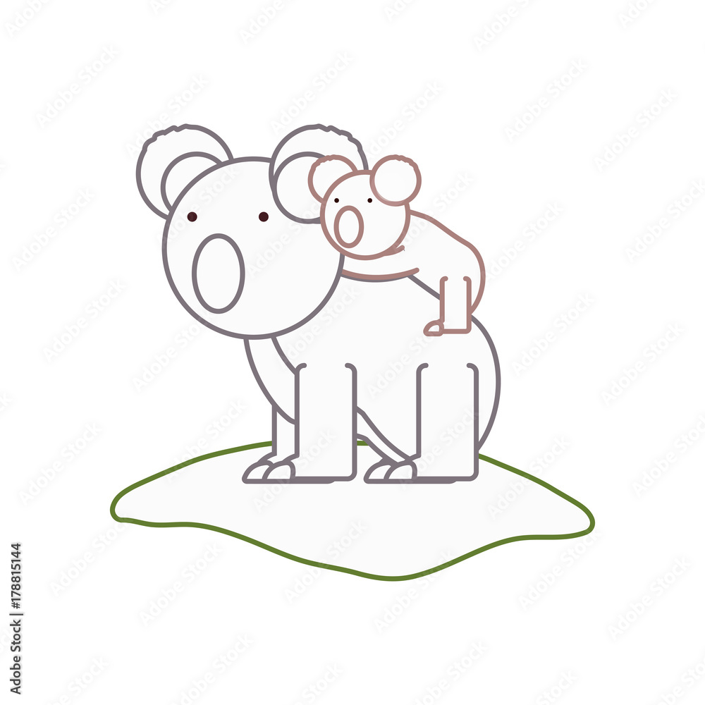 Obraz premium flat line colored koala bear over white background vector illustration