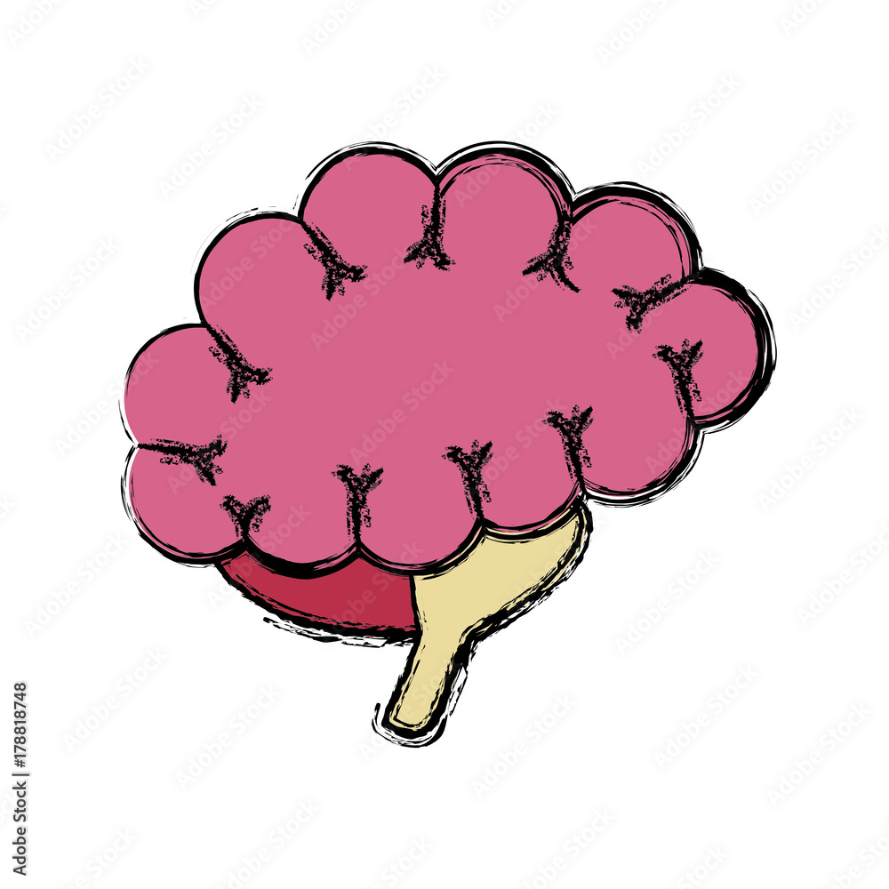 Human brain isolated icon vector illustration graphic design