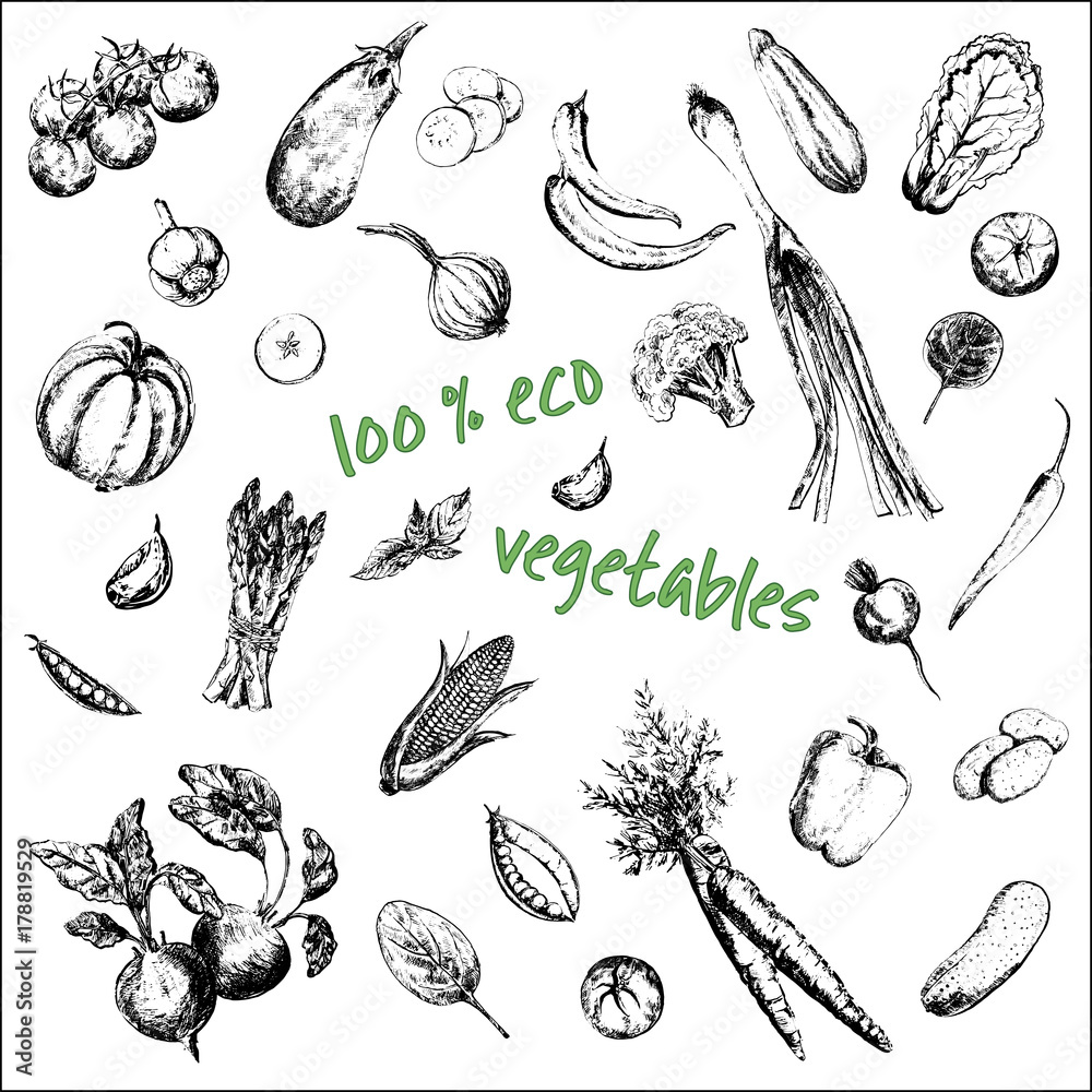Hand drawn sketch set of vegetables. Vector illustration isolated on white background. Hand drawn sketch set of vegetables. Vector illustration isolated on white background.
