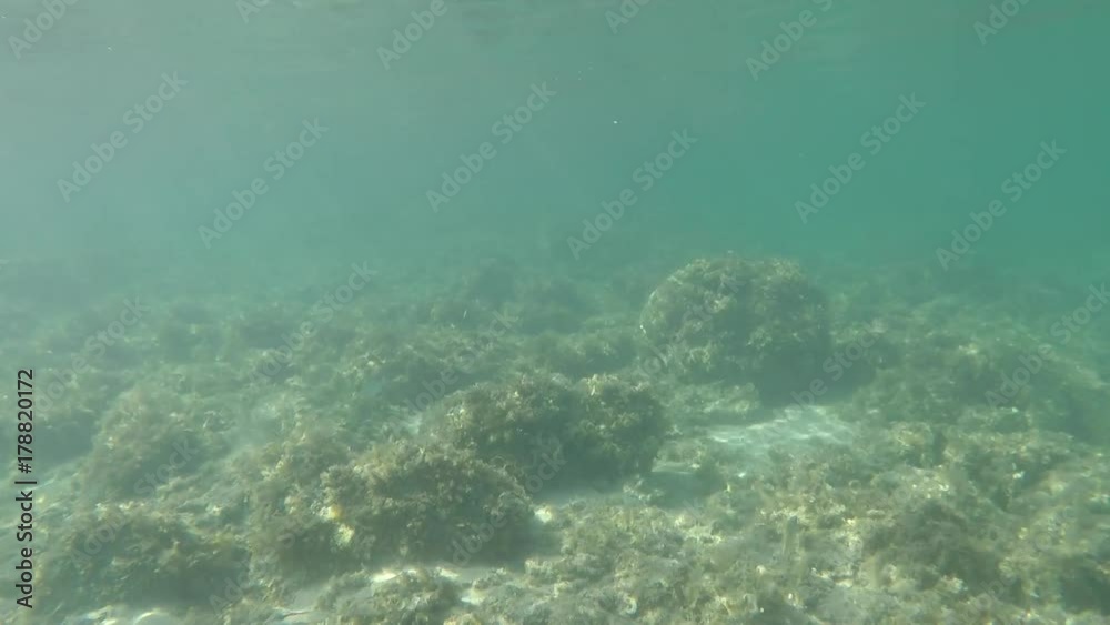 Snorkeling in San Giovanni di Sinis Snorkeling in San Giovanni di Sinis