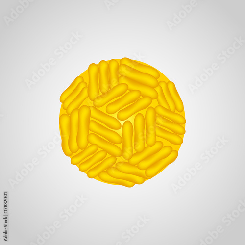 Yellow Fever Virus vector logo icon illustration