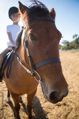 Dziewczyna jedzie konia w rancho
