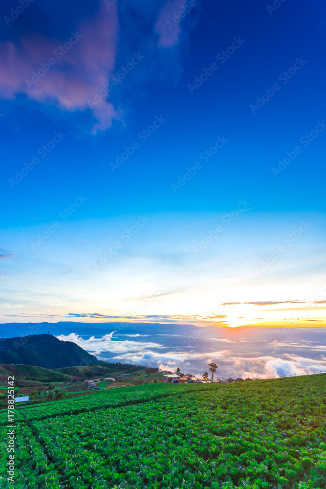 Obraz premium Natural Sunset Sunrise.Phu Thap Boek,Phetchabun Mountains.Landscape Sky At Sunset Dawn Sunrise. Unseen Thailand.