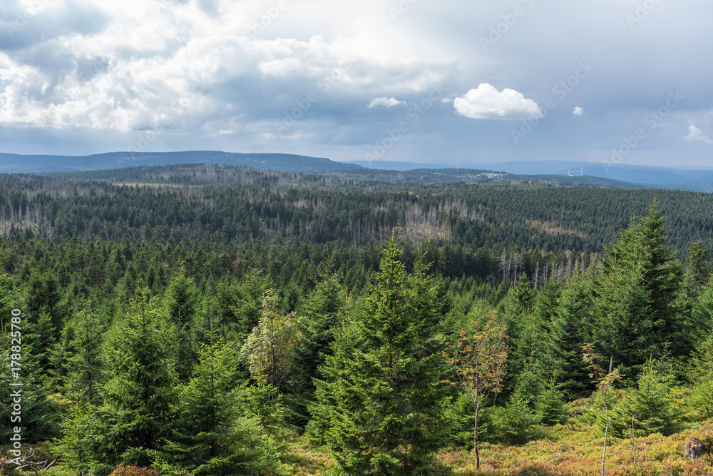 The landscape of mountain in Harz, Germany